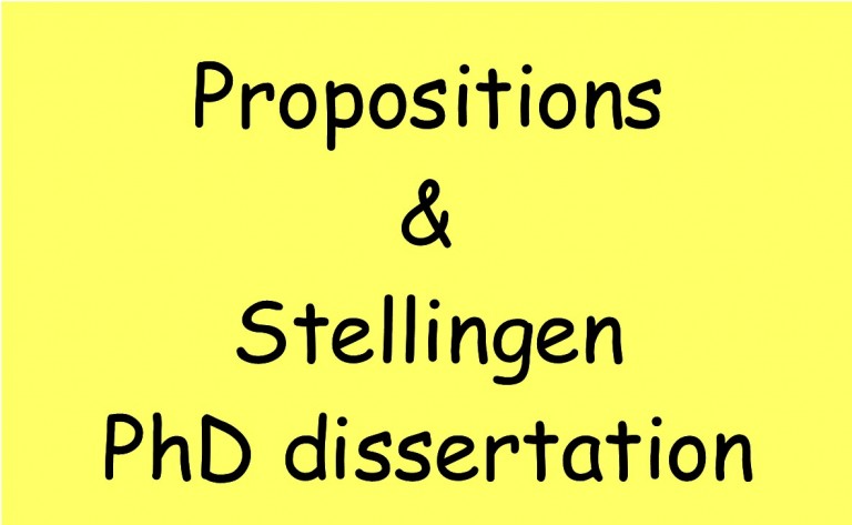 What is a dissertation image