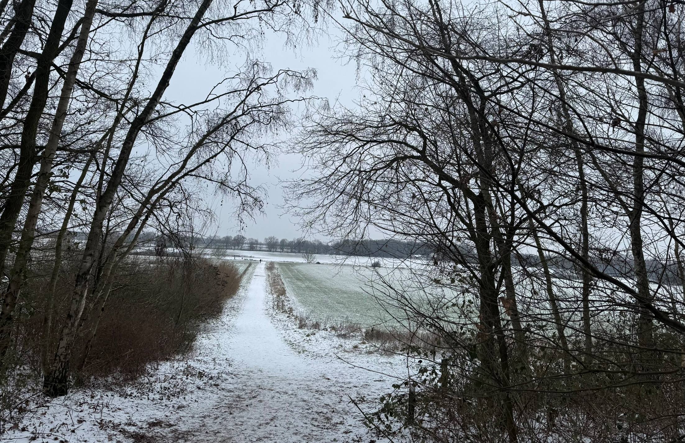 Schone lucht in Beesel